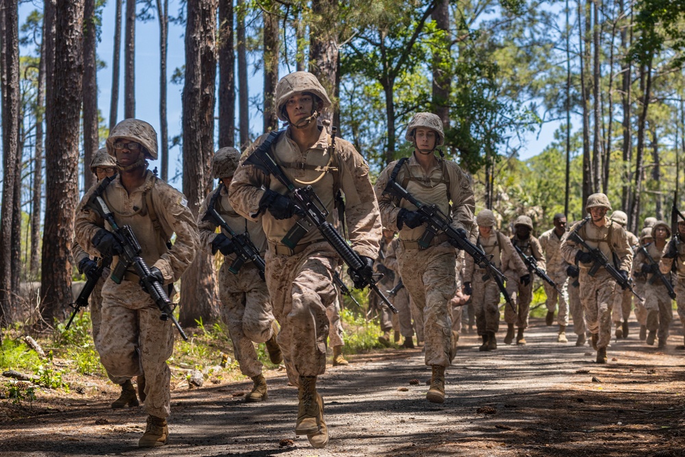 Delta Company Crucible