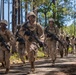 Delta Company Crucible