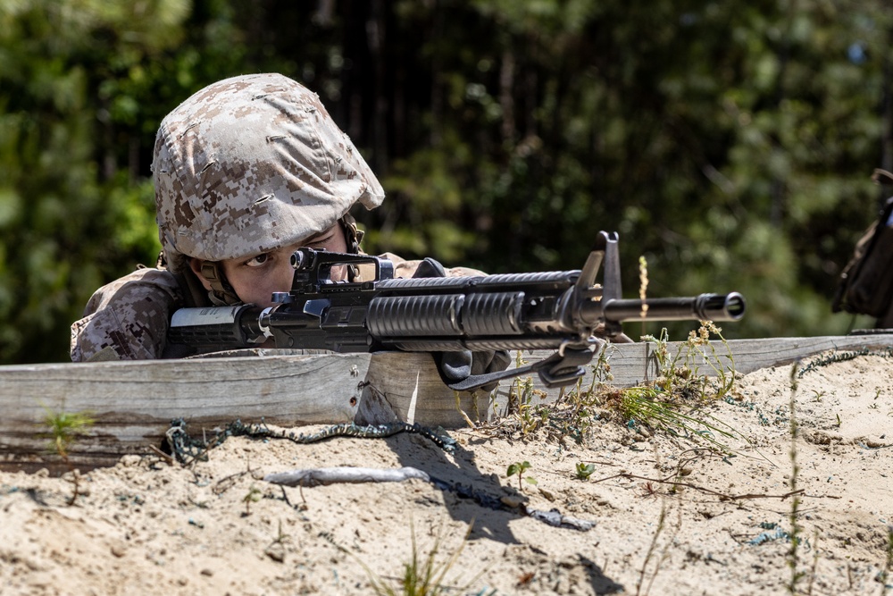 Delta Company Crucible