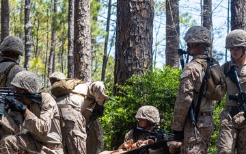Delta Company Crucible