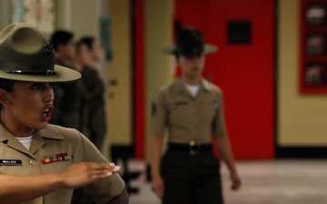 Bravo Company Pick Up Day