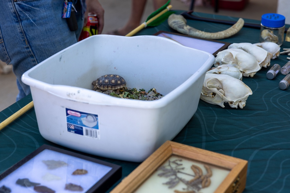 The Curation Center hosted Earth Day event