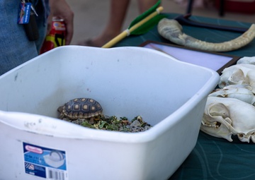 The Curation Center hosted Earth Day event