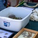 The Curation Center hosted Earth Day event