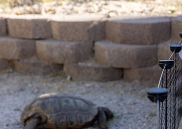 The Curation Center hosted Earth Day event