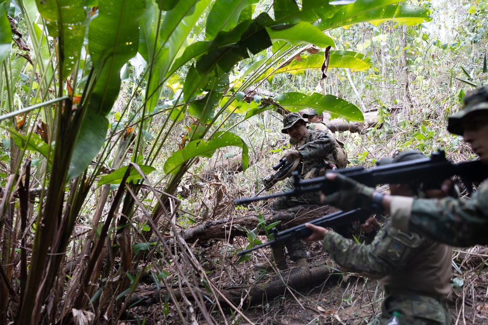 Multinational forces participate in jungle patrol training during TRADEWINDS 25
