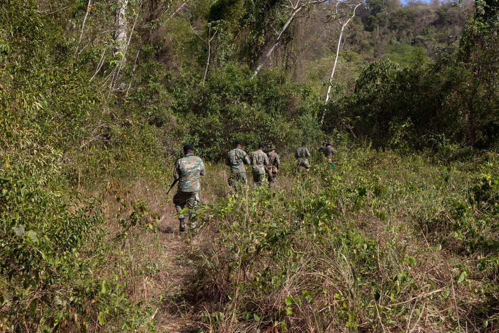 Multinational forces participate in jungle patrol training during TRADEWINDS 25