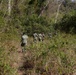 Multinational forces participate in jungle patrol training during TRADEWINDS 25