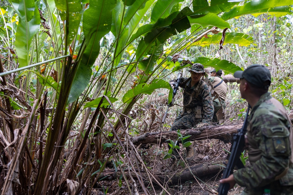 Multinational forces participate in jungle patrol training during TRADEWINDS 25