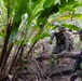 Multinational forces participate in jungle patrol training during TRADEWINDS 25