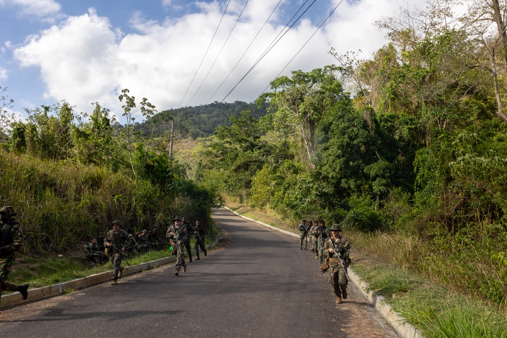 Multinational forces participate in jungle patrol training during TRADEWINDS 25