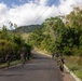 Multinational forces participate in jungle patrol training during TRADEWINDS 25