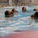 Lima Company Water Survival