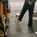 Safety Buoys Placed at Ashtabula Harbor
