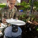 Entomology surveillance at Joint Base Pearl Harbor Hickam