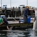 Interns care for Navy dolphins at the Navy Marine Mammal Program facilities