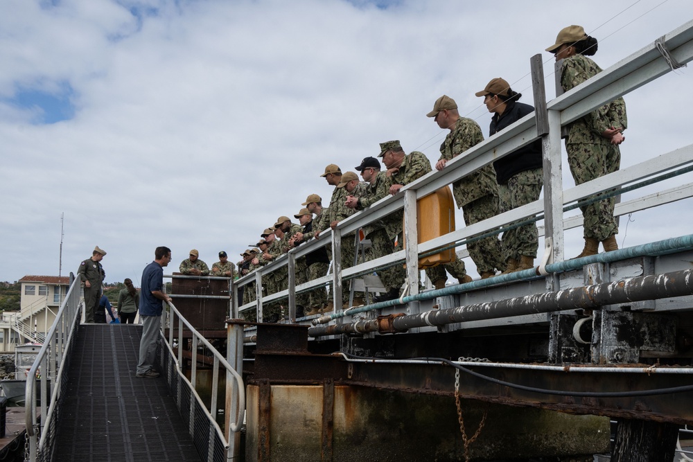 Sailor of the Year nominees visit Navy Marine Mammal Program facilities