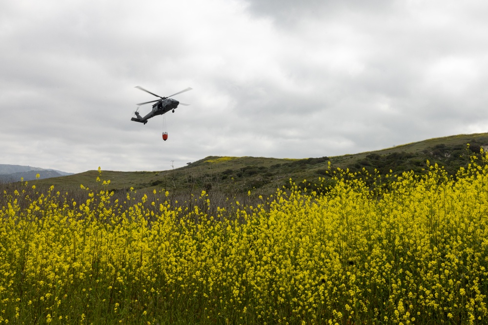 Local fire protection services, Camp Pendleton Marines and Sailors train together during Cory Iverson training exercise