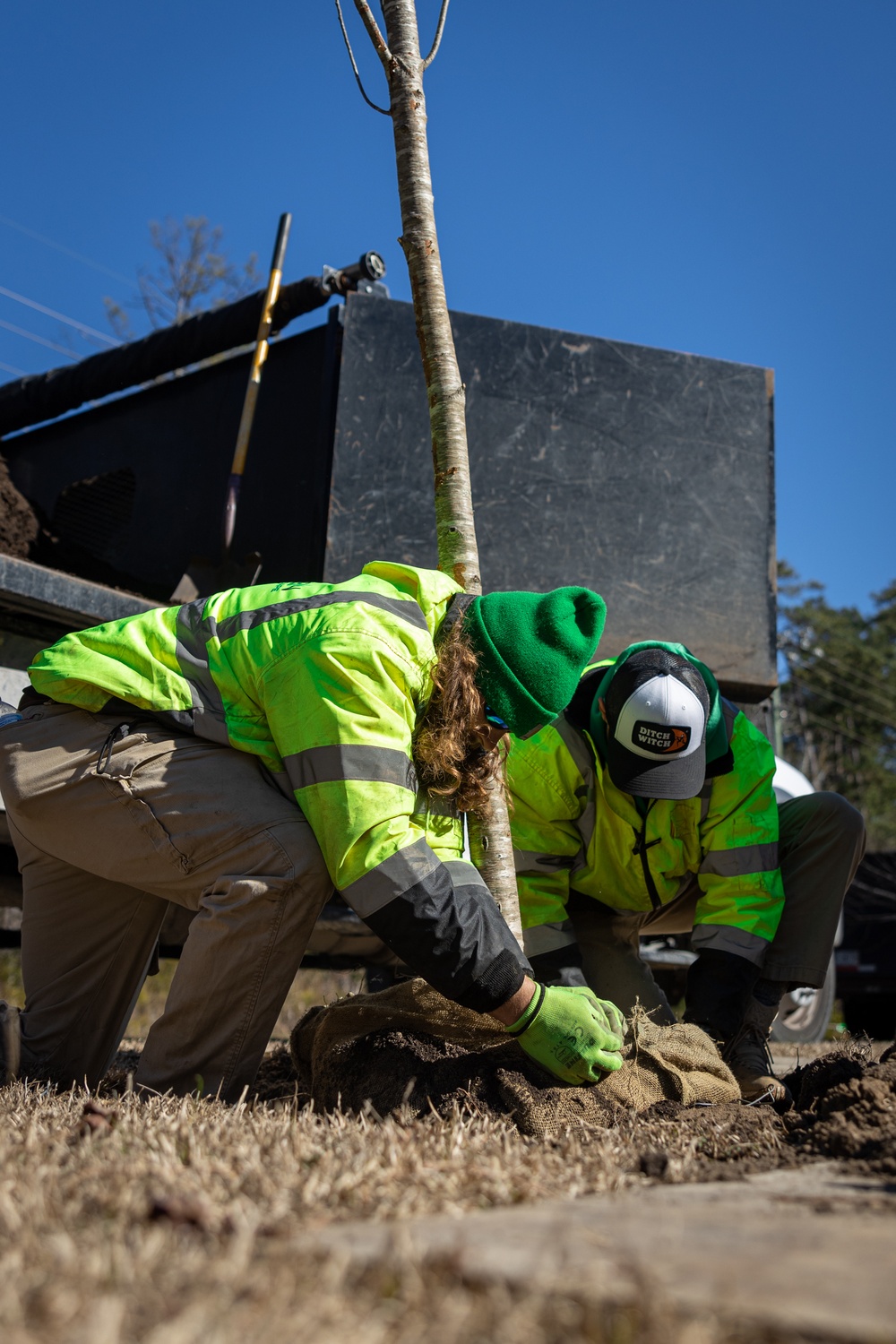Replanting History's Sweet Details