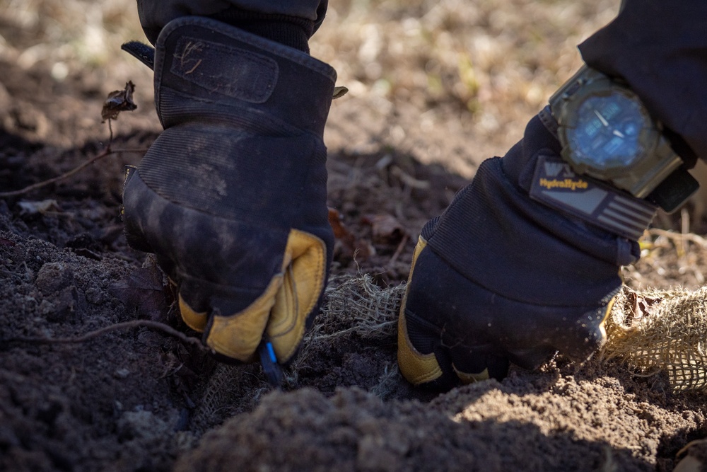 Replanting History's Sweet Details