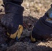 Replanting History's Sweet Details