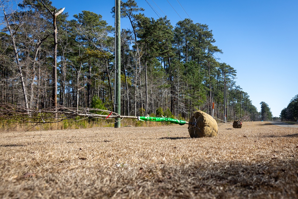 Replanting History's Sweet Details