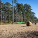 Replanting History's Sweet Details