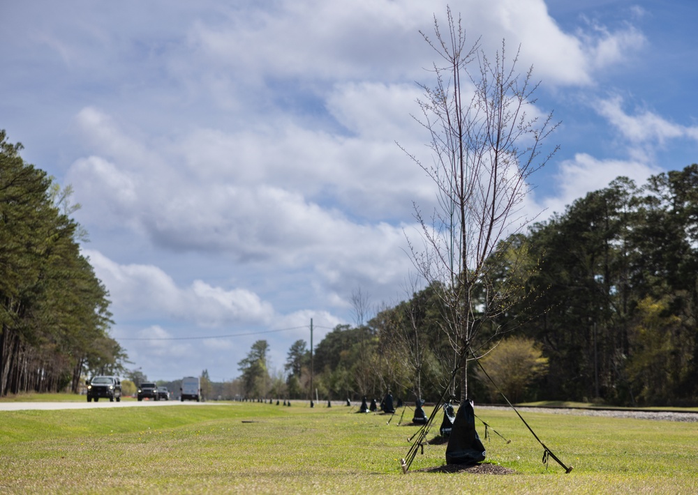 Replanting History’s Sweet Details