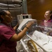 Walter Reed Moves NICU To New State-of-the-Art Roosevelt Pavilion