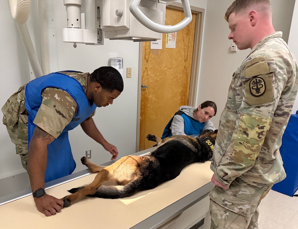 Munson Makes a Difference: MWD