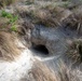 Tortoise Relocation Keeps Land Adaptable to Marine Corps Logistics