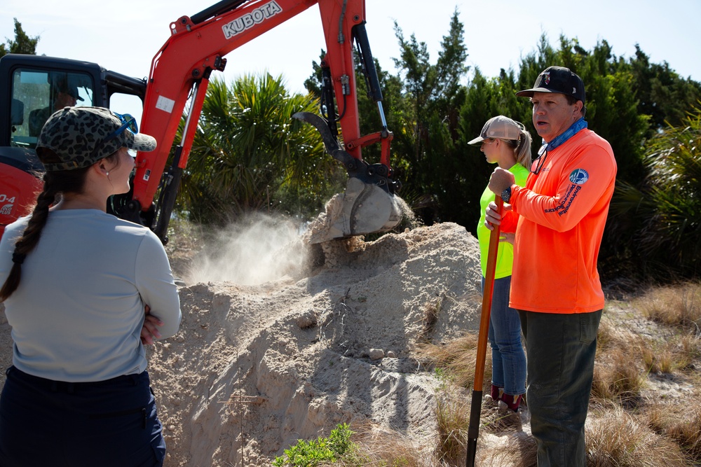 Tortoise Relocation Keeps Land Adaptable to Marine Corps Logistics