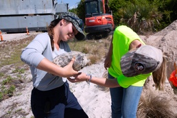 Tortoise Relocation Keeps Land Adaptable to Marine Corps Logistics