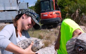 Tortoise Relocation Keeps Land Adaptable to Marine Corps Logistics