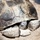 Tortoise Relocation Keeps Land Adaptable to Marine Corps Logistics