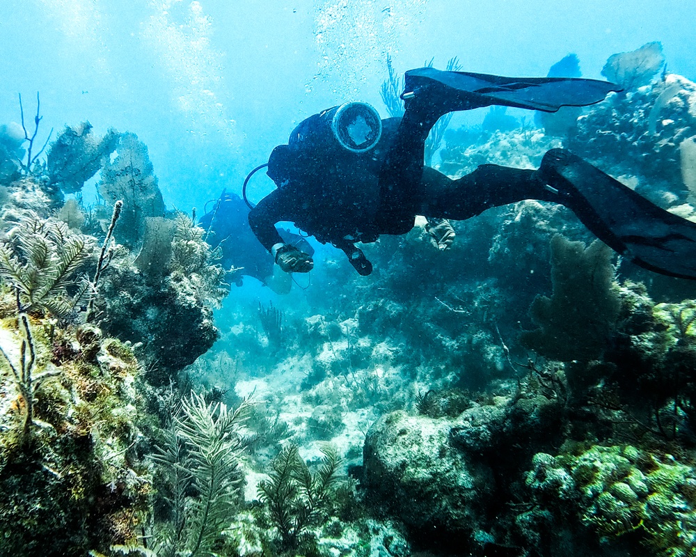 10th SFG(A) Annual Dive Requalification