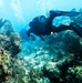 10th SFG(A) Annual Dive Requalification