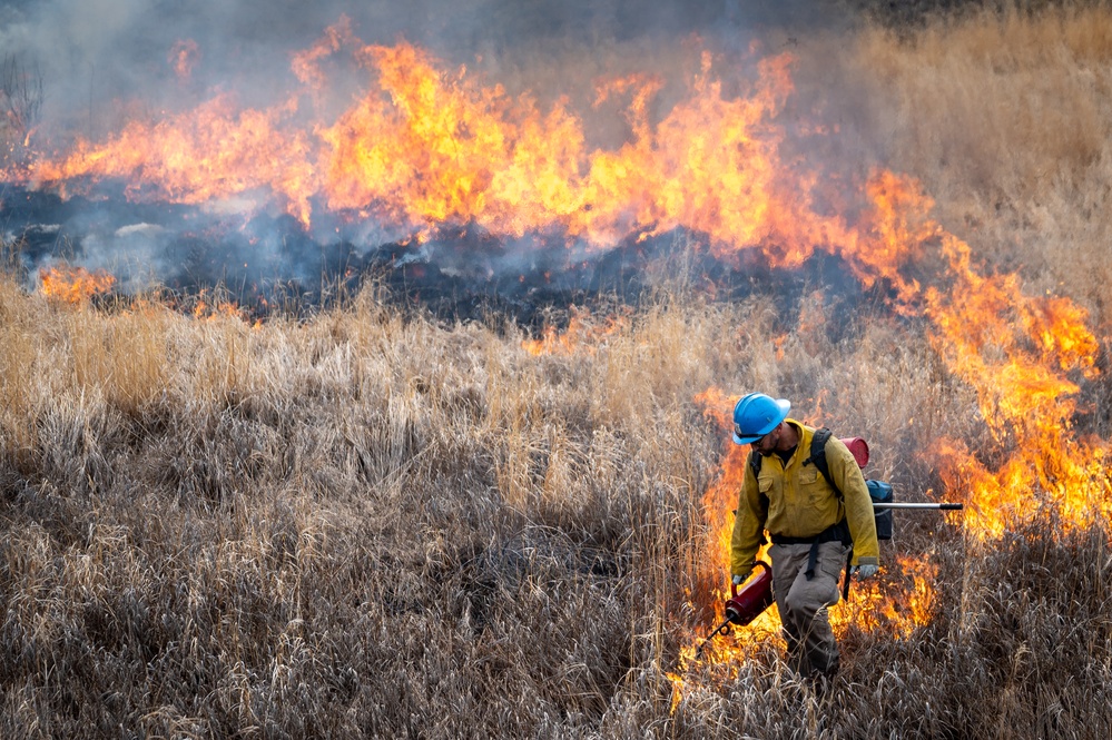 Wildland Fire Branch conducts a controlled burn at JBER