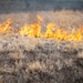 Wildland Fire Branch conducts a controlled burn at JBER