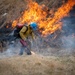 Wildland Fire Branch conducts a controlled burn at JBER