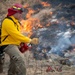 Wildland Fire Branch conducts a controlled burn at JBER