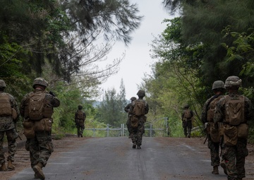 31st MEU | Combat Service Support Area Exercise
