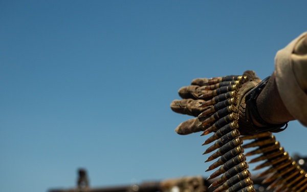 Balikatan 25: 3d LCT and 25th ID Conduct Counter Landing Live Fire Event with AFP