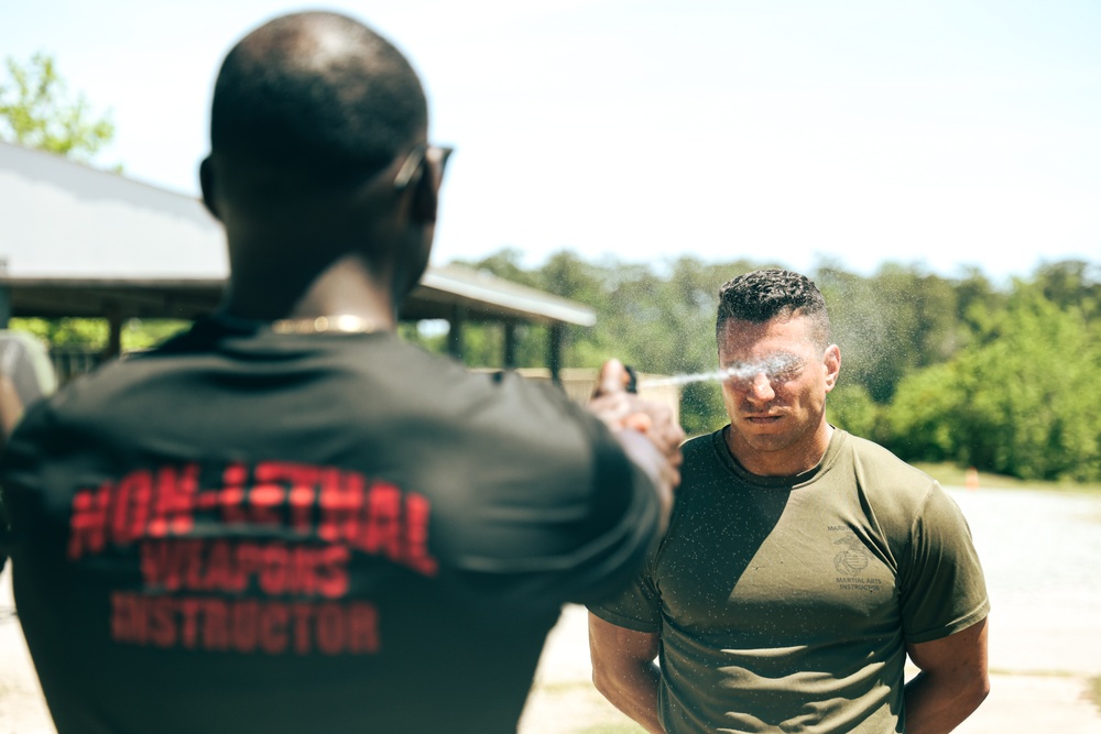 22nd MEU | Non-Lethal Weapons Course Day 2