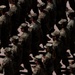USAFA Noon Meal Formation 2025