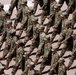 USAFA Noon Meal Formation 2025