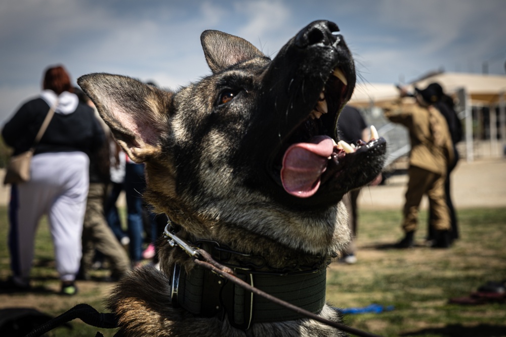 Students explore military jobs during Military Occupational Specialty Exposition at The Combat Center