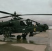 1st Air Cavalry Brigade Troopers conduct NASCAR Flyover