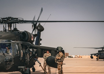 TF Cardinal Phoenix Launch