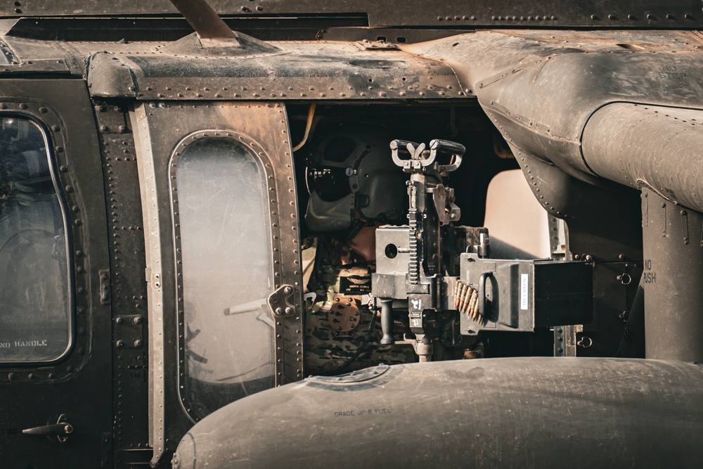 TF Cardinal Phoenix Launch